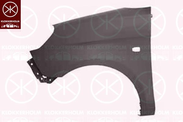 Wing, Left Front, with hole for direction indicator, Model Year from: 2008, Zinc-coated, 66311 07630 (KIA), 6631107630 (KIA)