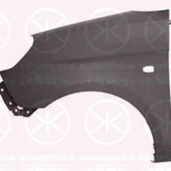 Wing, Left Front, with hole for direction indicator, Model Year from: 2008, Zinc-coated, 66311 07630 (KIA), 6631107630 (KIA)