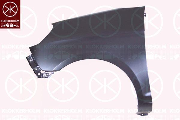 Wing, Left Front, without hole for direction indicator, Model Year from: 2008, 66311 07600 (KIA)