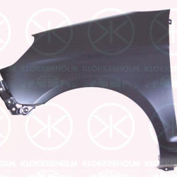 Wing, Left Front, without hole for direction indicator, Model Year from: 2008, 66311 07600 (KIA)