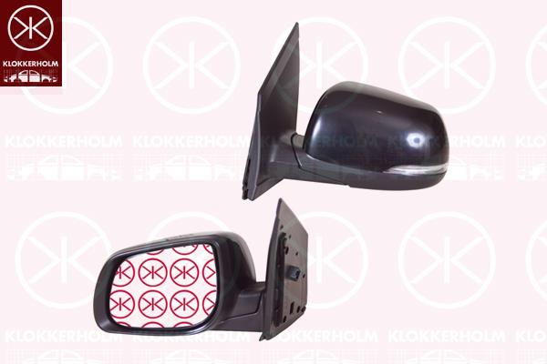 Exterior Mirror, Left, for electric mirror adjustment, with indicator, Heatable, Convex, Number of pins: 7, 876101Y00000 (KIA)