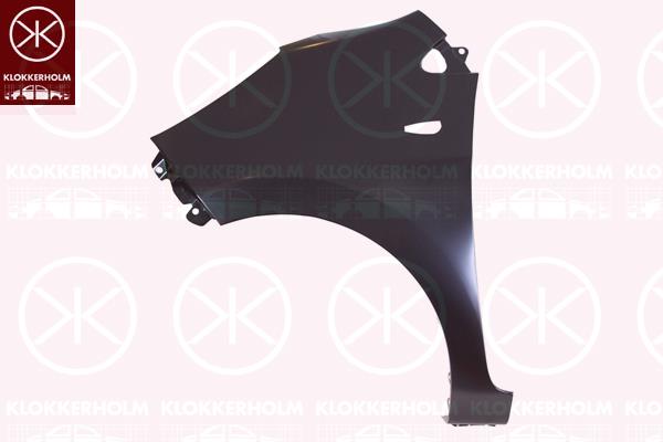 Wing, Left Front, with hole for direction indicator, 66311 1Y310 (KIA)