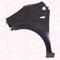 Wing, Right Front, with hole for direction indicator, 66321 1Y310 (KIA)