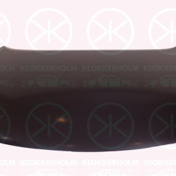 Bonnet, Steel, 66400 1H200 (KIA)