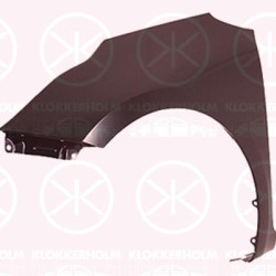 Wing, Left Front, with hole for direction indicator, 66311 A2030 (KIA)