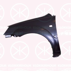 Wing, Left Front, with hole for direction indicator, 66311 1G350 (KIA), 66311-1G050 (KIA), 663111G350 (KIA)