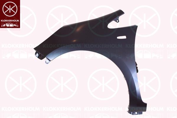 Wing, Left Front, with hole for direction indicator, 66311 1W150 (KIA)