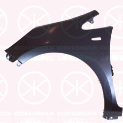 Wing, Left Front, with hole for direction indicator, 66311 1W150 (KIA)