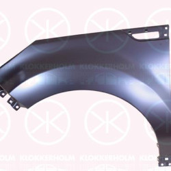 Wing, Left Front, with holes for extensions, 66311 B2000 (KIA)