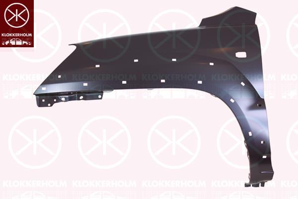 Wing, Right Front, Trim Level: EX, with hole for direction indicator, with holes for trim/protective strip, 66321 1F010 (KIA), 66321 1F110 (KIA), 663211F010 (KIA), 663211F110 (KIA)