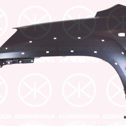 Wing, Right Front, Trim Level: EX, with hole for direction indicator, with holes for trim/protective strip, 66321 1F010 (KIA), 66321 1F110 (KIA), 663211F010 (KIA), 663211F110 (KIA)