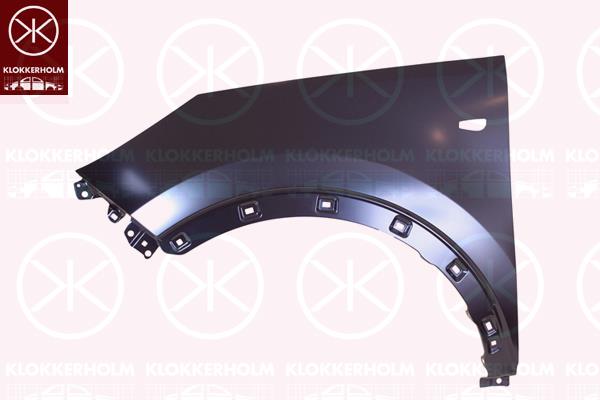 Wing, Right Front, with hole for direction indicator, Zinc-coated, 66321-4T100 (KIA)