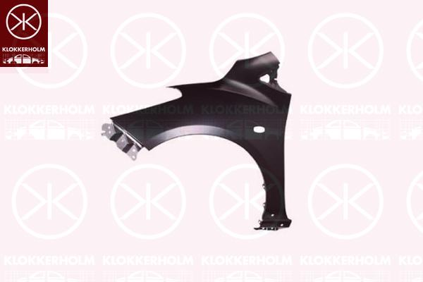 Wing, Right Front, with holes for trim/protective strip, with hole for direction indicator, D01G52111B (MAZDA), D01G52111C (MAZDA)