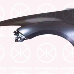 Wing, Left Front, with hole for direction indicator, GS1D52210D (MAZDA), GSYD52210 (MAZDA)