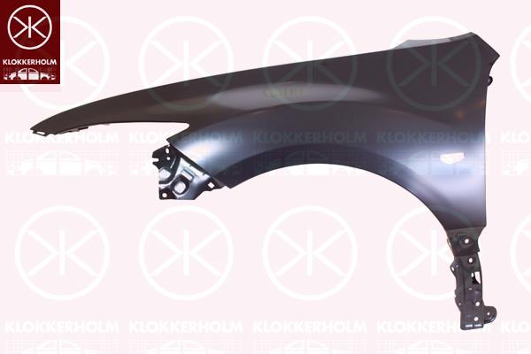 Wing, Right Front, with hole for direction indicator, GS1D52110D (MAZDA), GSYD52110 (MAZDA)