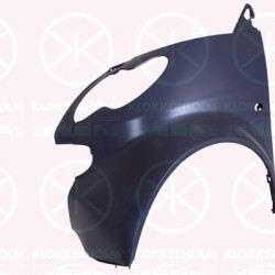 Wing, w/primer, Left Front, with hole for direction indicator, AQ0011150V002C04L00 (SMART), Q0011150V002C04L00 (SMART)