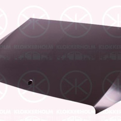 Bonnet, Aluminium, 2058800357 (MERCEDES), A2058800357 (MERCEDES)