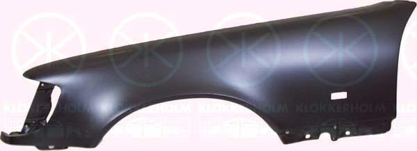 Wing, Right Front, with hole for direction indicator, 140 880 0418 (MERCEDES), A 140 880 0418 (MERCEDES), A140 880 0418 (MERCEDES)