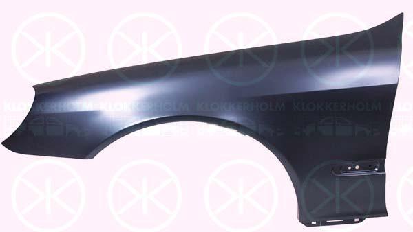 Wing, Right Front, without hole for direction indicator, 220 880 0418 (MERCEDES), A 220 880 0418 (MERCEDES), A220 880 0418 (MERCEDES)