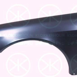 Wing, Right Front, without hole for direction indicator, 220 880 0418 (MERCEDES), A 220 880 0418 (MERCEDES), A220 880 0418 (MERCEDES)