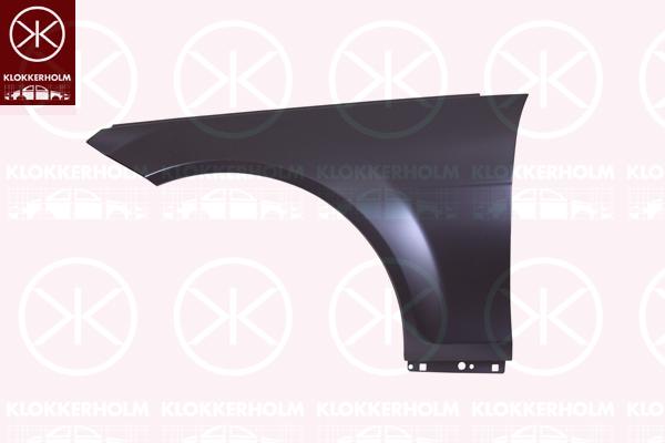 Wing, Aluminium, Left Front, 204 880 0118 (MERCEDES), 204 880 1318 (MERCEDES), A 204 880 0118 (MERCEDES), A 204 880 1318 (MERCEDES), A204 880 0118 (MERCEDES), A204 880 1318 (MERCEDES)