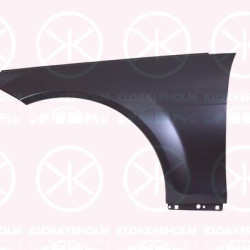 Wing, Aluminium, Left Front, 204 880 0118 (MERCEDES), 204 880 1318 (MERCEDES), A 204 880 0118 (MERCEDES), A 204 880 1318 (MERCEDES), A204 880 0118 (MERCEDES), A204 880 1318 (MERCEDES)