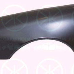 Wing, Right Front, without hole for direction indicator, 210 880 0218 (MERCEDES), 210 880 0418 (MERCEDES), A 210 880 0218 (MERCEDES), A 210 880 0418 (MERCEDES), A210 880 0218 (MERCEDES), A210 880 0418 (MERCEDES)