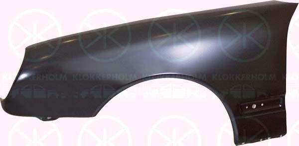 Wing, Left Front, without hole for direction indicator, 210 880 0118 (MERCEDES), 210 880 0318 (MERCEDES), A 210 880 0118 (MERCEDES), A 210 880 0318 (MERCEDES), A210 880 0118 (MERCEDES), A210 880 0318 (MERCEDES)