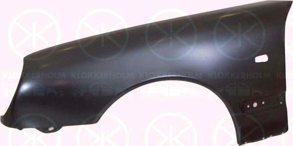 Wing, Right Front, with hole for direction indicator, 210 880 0218 (MERCEDES), A 210 880 0218 (MERCEDES), A210 880 0218 (MERCEDES)