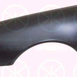 Wing, Right Front, with hole for direction indicator, 210 880 0218 (MERCEDES), A 210 880 0218 (MERCEDES), A210 880 0218 (MERCEDES)