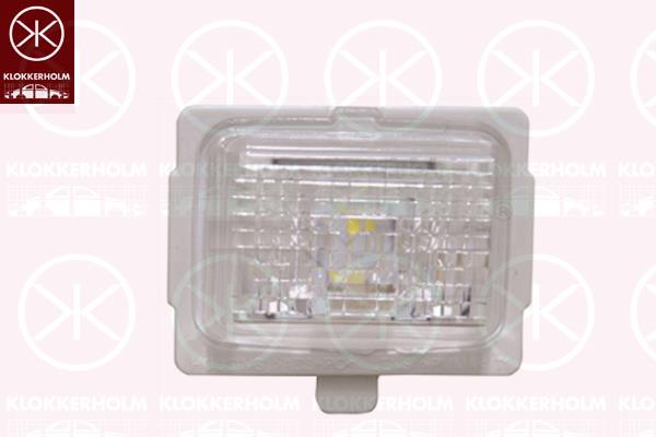 Licence Plate Light, LED, LED Colour: white-transparent, 2218200856 (MERCEDES), A2218200856 (MERCEDES)