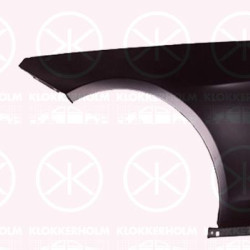 Wing, Aluminium, Left Front, without hole for direction indicator, A212 880 0118 (MERCEDES)