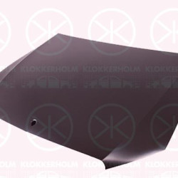 Bonnet, Aluminium, 2138800357 (MERCEDES), A2138800357 (MERCEDES)