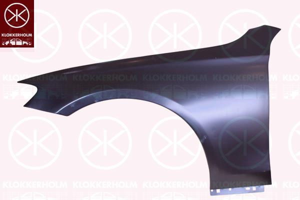 Wing, Aluminium, Left Front, 213 880 0118 (MERCEDES), A213 880 0118 (MERCEDES), A2138800118 (MERCEDES)