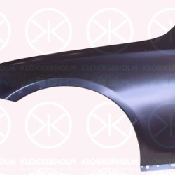 Wing, Aluminium, Left Front, 213 880 0118 (MERCEDES), A213 880 0118 (MERCEDES), A2138800118 (MERCEDES)