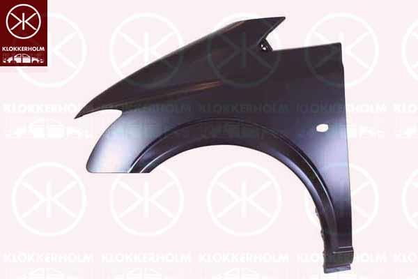 Wing, Right Front, with hole for direction indicator, 639 880 0306 (MERCEDES), A 639 880 0306 (MERCEDES), A639 880 0306 (MERCEDES)