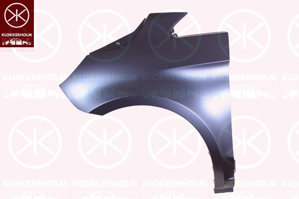 Wing, Right Front, 447 880 07 00 (MERCEDES), 4478800700 (MERCEDES), A 447 880 07 00 (MERCEDES), A447 880 07 00 (MERCEDES), A4478800700 (MERCEDES)