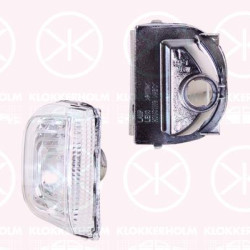 Direction Indicator, Left, Exterior Mirror, Short mirror arm, A9109064700 (MERCEDES), 9109064700 (MERCEDES), A910 906 4700 (MERCEDES)