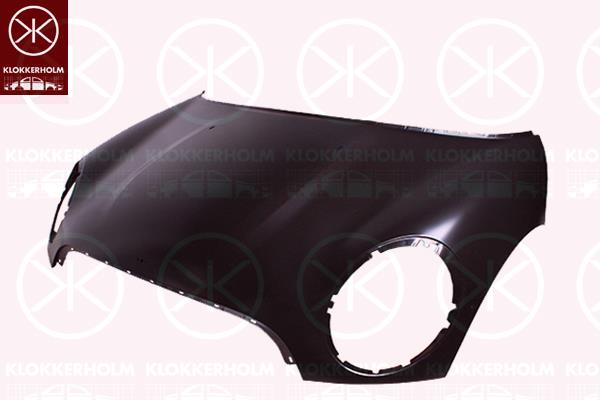 Bonnet, Base, 41 61 2 754 742 (BMW), 41 61 7 318 364 (BMW)