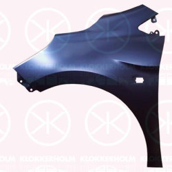 Wing, Left Front, with hole for direction indicator, 42355639 (OPEL), 42695344 (OPEL), 94533437 (OPEL)