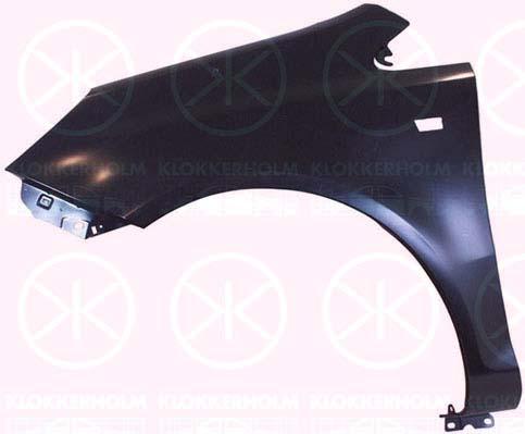 Wing, Left Front, with hole for direction indicator, 61 02 363 (OPEL), 93189645 (OPEL)