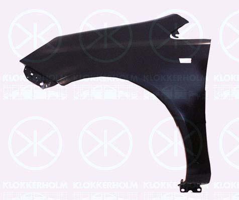 Wing, Left Front, with hole for direction indicator, Zinc-coated, 61 02 363 (OPEL), 93189645 (OPEL)