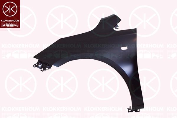 Wing, Left Front, Zinc-coated, 11 00 060 (OPEL), 13434576 (OPEL)