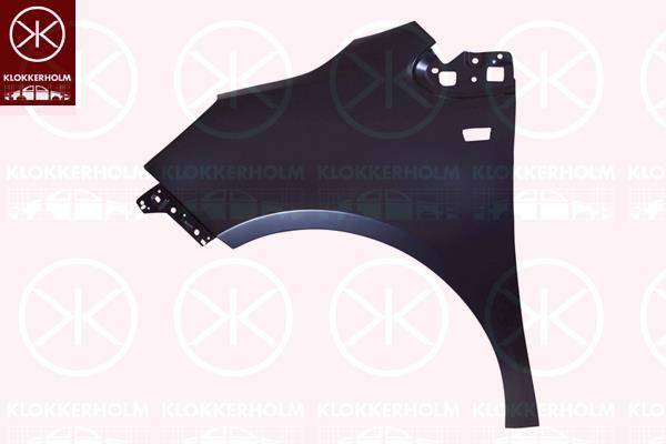 Wing, Left Front, 11 00 003 (OPEL), 93167923 (OPEL)