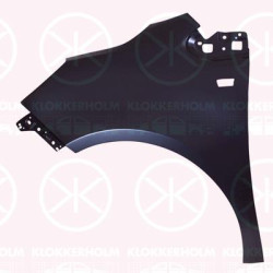 Wing, Left Front, 11 00 003 (OPEL), 93167923 (OPEL)