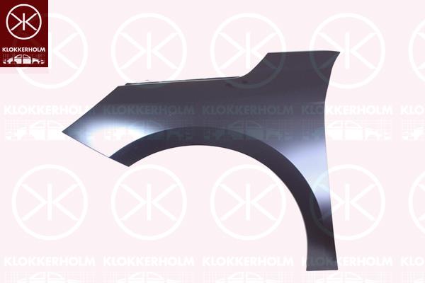 Wing, Right Front, Zinc-coated, 9829283180 (OPEL)