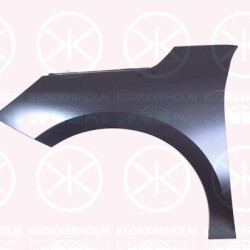 Wing, Right Front, Zinc-coated, 9829283180 (OPEL)