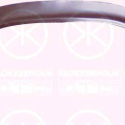 Quarter Panel, Wheel Arch Border, Repair Panel, Right Rear, Outer section, 