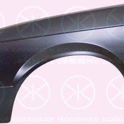 Wing, Left Front, without hole for direction indicator, 11 01 110 (OPEL), 1101110 (OPEL)