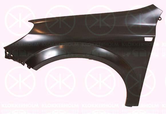 Wing, Left Front, 61 01 339 (OPEL), 93178666 (OPEL)